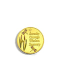 NA Recovery Coin Dragonfly Medallion – Narcotics Anonymous