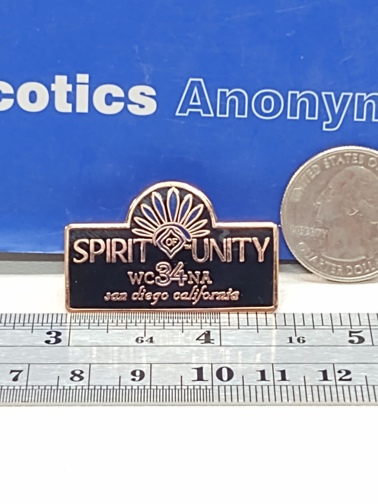 NA World Convention 34 San Diego CA Narcotics Anonymous Pin - 102