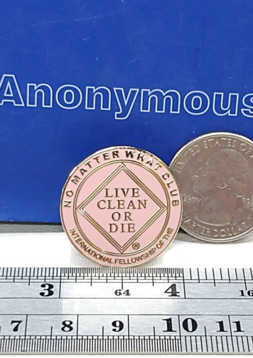 NA 'No Matter What Club Live Clean Or Die' PINK Vintage Pin - Narcotics Anonymous - 135
