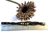 Leather Bronze NA Charm Bracelet Snap Closure - Black