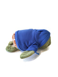 NA Turtle Stuffed Animal Narcotics Anonymous