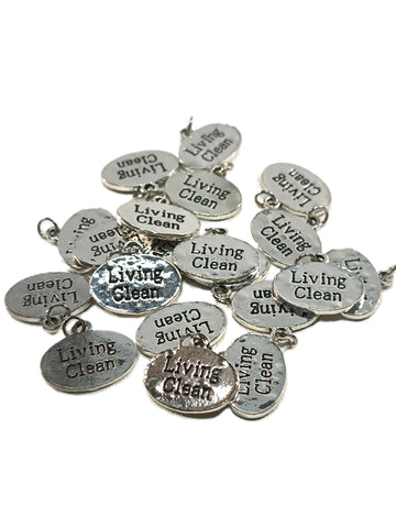 20Pc Charm Blow Out! Irregular Charms *Drastically Reduced* Living Clean