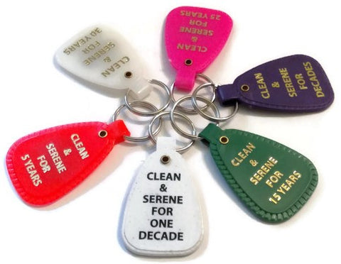 NA Multi Pack Keytag Chips - Set of 6